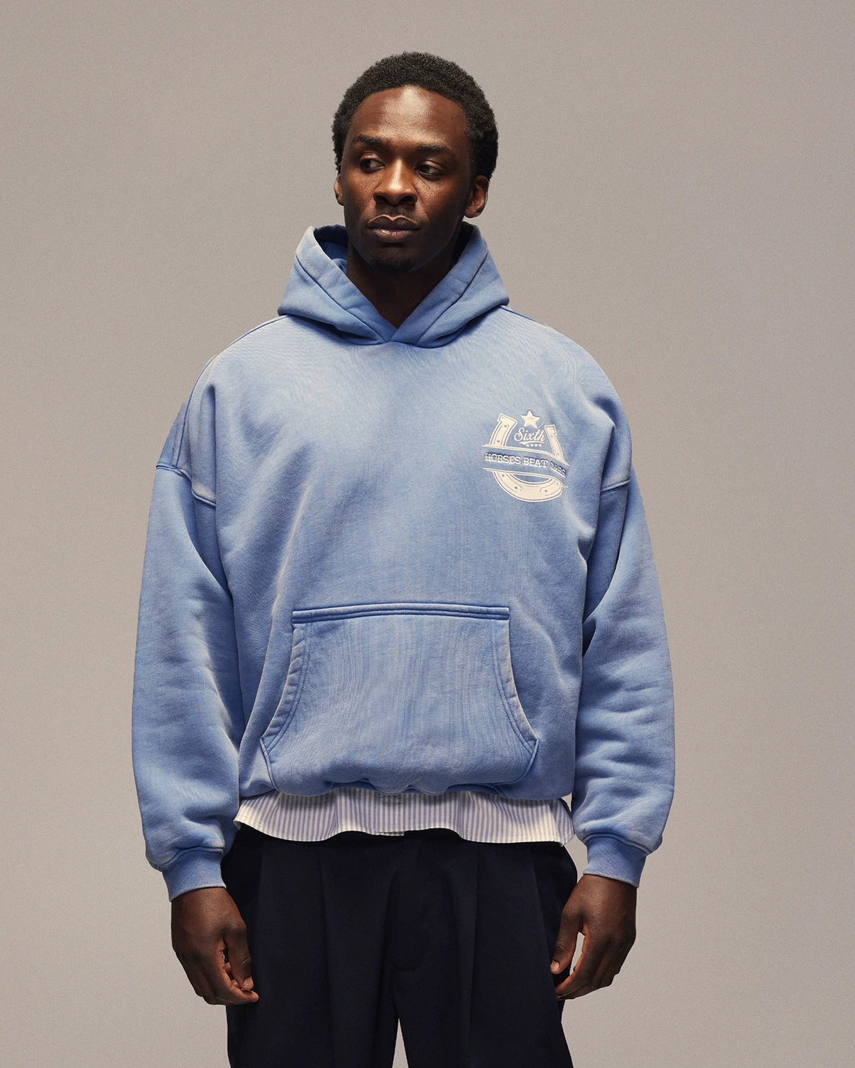Sixth Bloom House Horseshoe Hoodie Blue worn by model