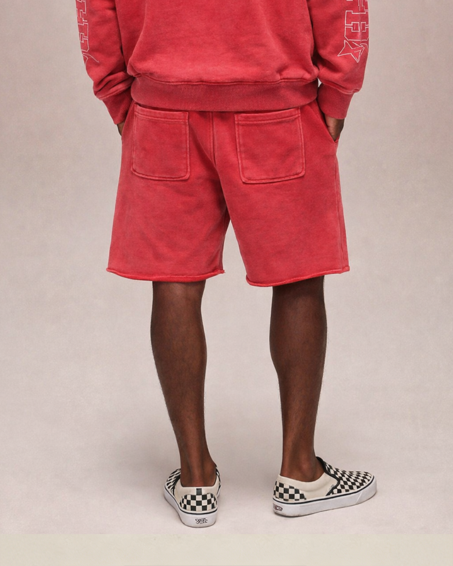 Sixth Bloom House Star Acid Washed Short – back view